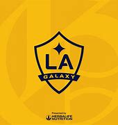 Image result for Major League Soccer LA Galaxy Soccer