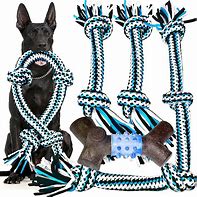 Image result for Durable Dog Chew Toys