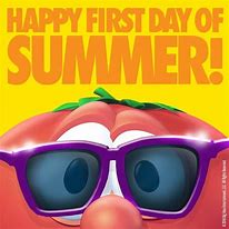 Image result for First Day of Summer with Cats Meme