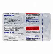Image result for Magprol CR 500