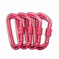 Image result for Carabiner Hook Heavy Dutty