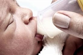 Image result for Milk for Premature Babies