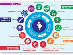 Image result for Dyad Leadership Model for Pas and NPS