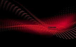Image result for Toshiba Dynabook Wallpaper