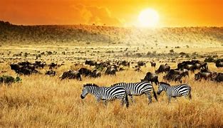Image result for Kenia turismo