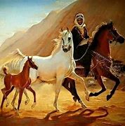 Image result for Arabian Horse Racing Art