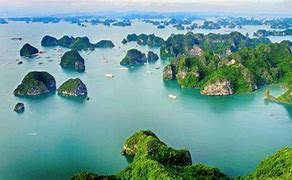 Image result for Coong Quang Ninh