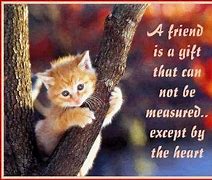 Image result for Sad Cat Quotes