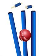 Image result for Cricket Wicket Cartoon Png