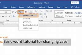 Image result for What Is Sentence Case in Word