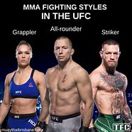 Image result for What Are the Different Types of MMA