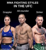 Image result for Types of Fights