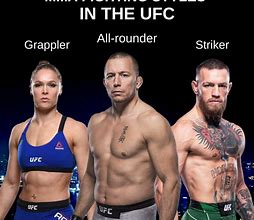 Image result for Fighters Styles