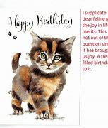 Image result for Cat Birthday Card Sayings