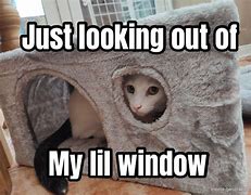 Image result for Looking Out the Window Meme
