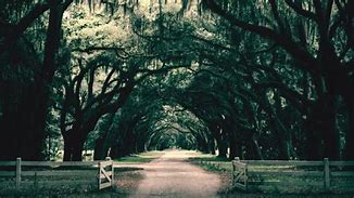 Image result for Southern Gothic Background