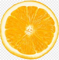 Image result for oranges slice