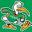 Image result for Miami Hurricanes Football Logo