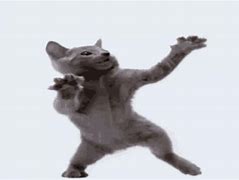 Image result for Happy Dancing Cat Meme