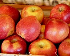 Image result for Gala Apples