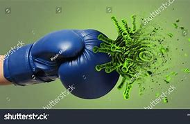 Image result for Kicking Boxing