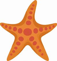 Image result for Starfish Drawing Clip Art