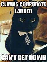 Image result for Corporate Cat You Rock Meme