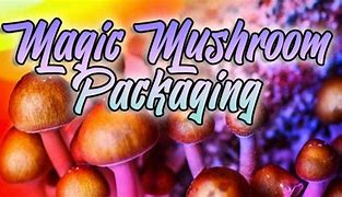 Image result for Magical Mushroom Packaging Design