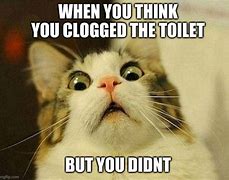 Image result for Cat Clogged the Toilet Meme
