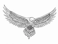 Image result for Pencil Drawing Eagle Wings