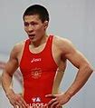 Image result for Freestyle Wrestling