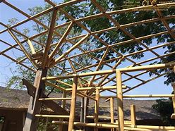 Image result for Bamboo Space Frame