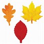 Image result for Apple Leaf Pattern