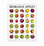 Image result for Design a Poster of an Apple