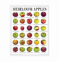 Image result for apples posters print