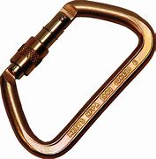 Image result for Rescue Carabiner