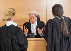 Image result for Science Court Lawyer