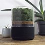 Image result for How to Make a Natural Moss Air Filter