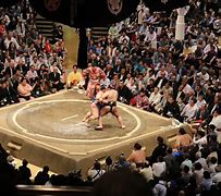Image result for Sumo Wrestling Match Tokyo Japan