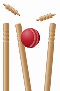 Image result for Wicket and Ball Photos