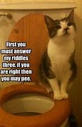 Image result for Cat Playing in Toilet Meme