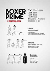 Image result for MMA Workout Chart