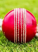 Image result for Bola Cricket Machine