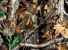 Image result for Realtree Camo Background