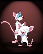 Image result for Animaniacs Pinky and the Brain