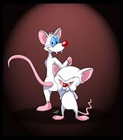 Image result for Pinky and the Brain Quotes Memes