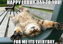 Image result for Labor Day Cat Meme