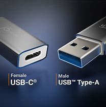 Image result for Lightning Cable Female to USB Type a Male