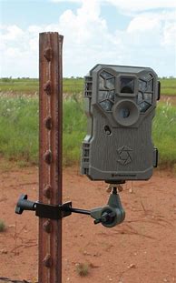 Image result for Trail Camera Mounts