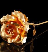 Image result for Forever Rose Gold